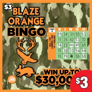 Preview image for Bingo - Blaze Orange & Lucky Heart scratchoff lottery tickets