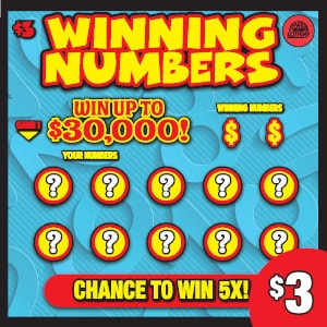 Preview image for WINNING NUMBERS scratchoff lottery tickets